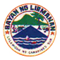 Libmanan